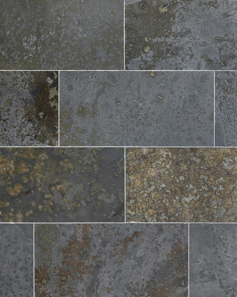Greyhound Alpha Pattern Greyhound Color – Alpha Stone
