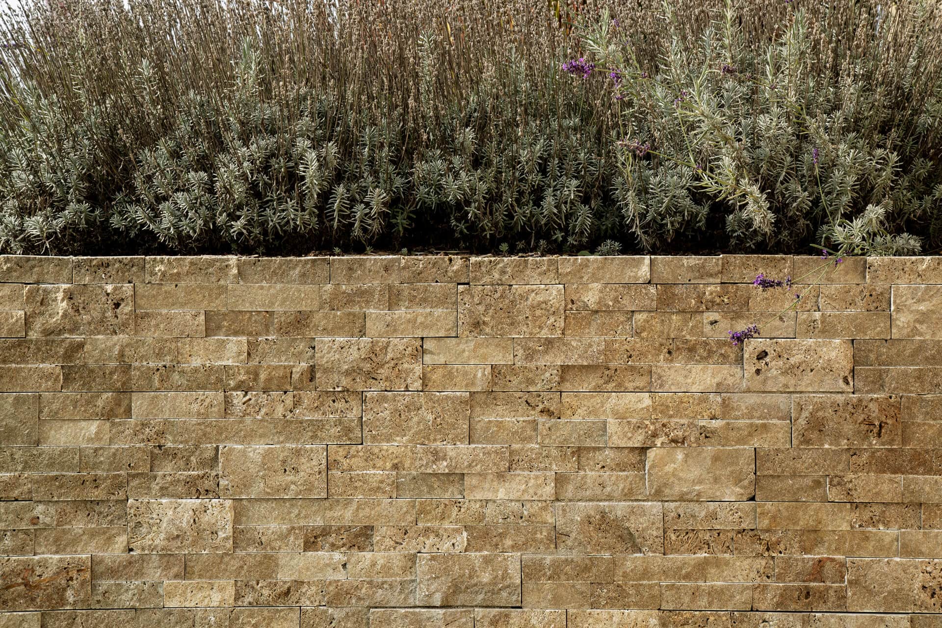 Naturstein Travertin Tuscany Nussbraun Wallstones Interlog Paneele Sichtfläche gespalten